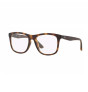 RAY-BAN RB7068D F-RAY 7068D-5200(55CN)