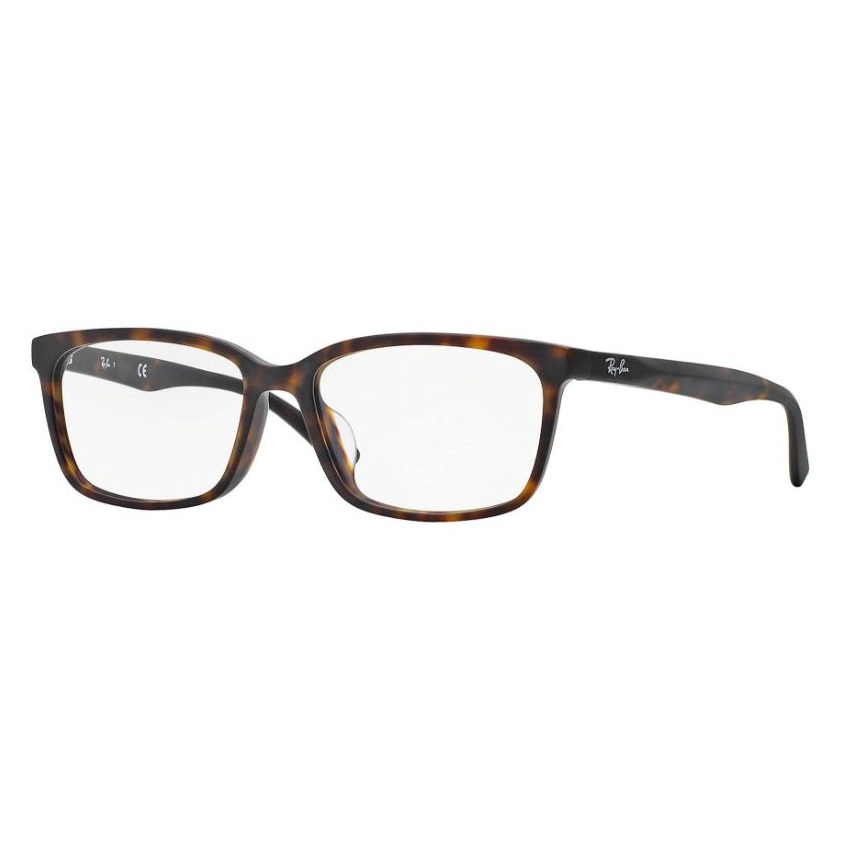 RAY-BAN RB5319D F-RAY 5319D-5211(55CN)